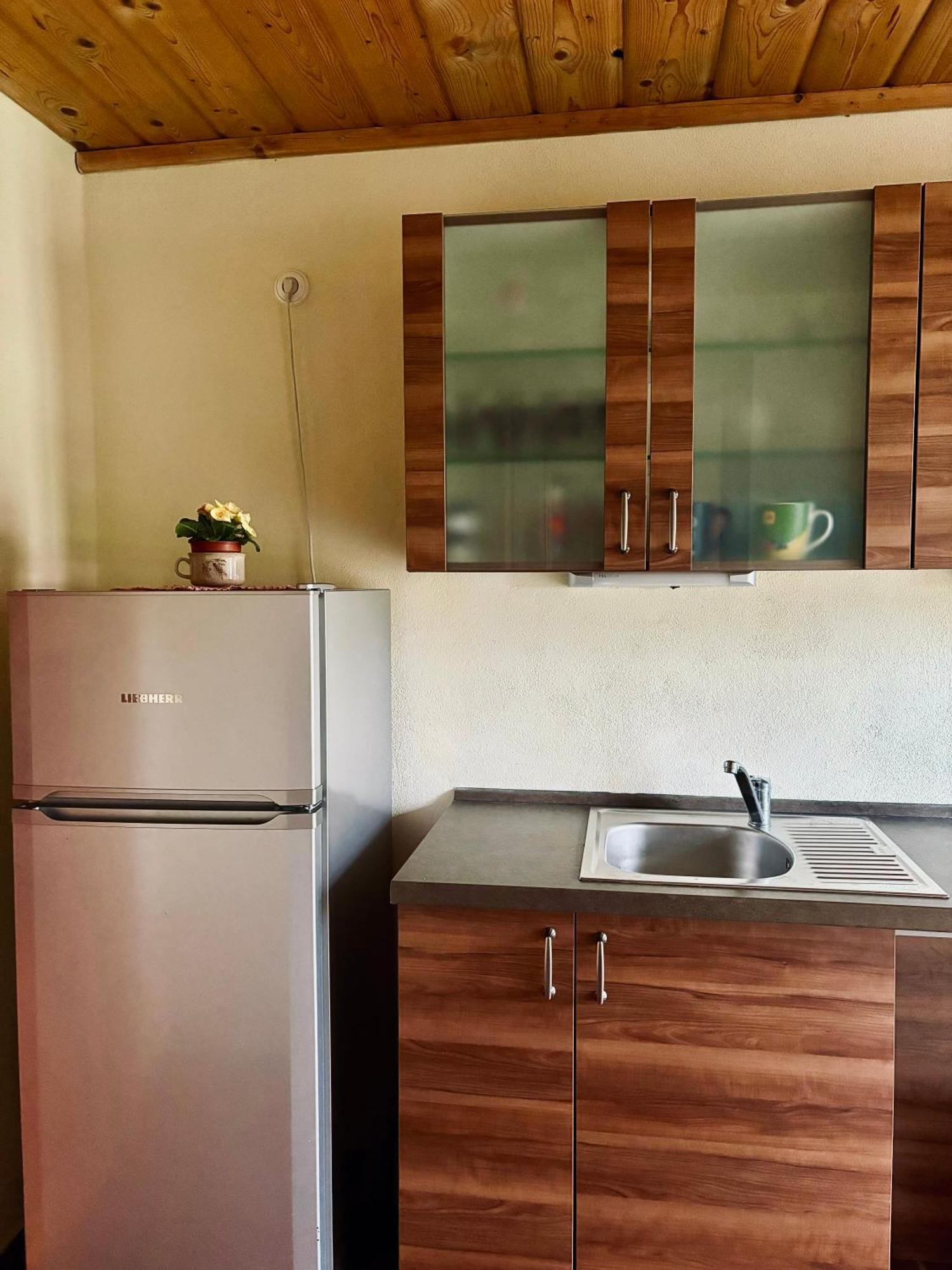 Apartmany Penzion Katerina Nadejkov Extérieur photo