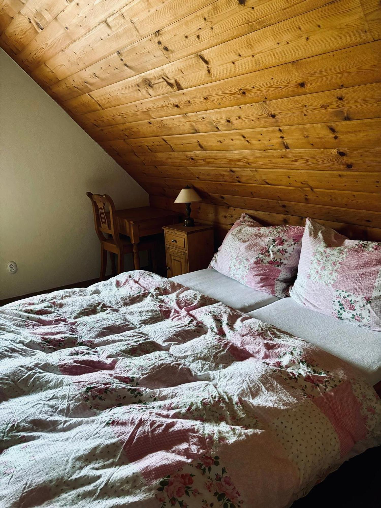 Apartmany Penzion Katerina Nadejkov Extérieur photo